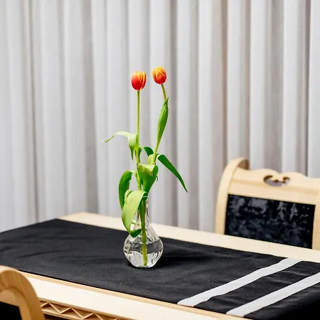 Apartment Machajowka - I Wypozyczalnia Rowerow Elektrycznych - Sauna *